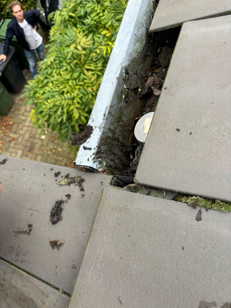 Dak Inspectie-2