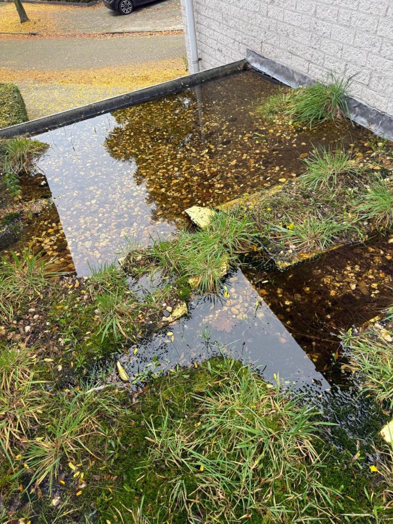 Dakonderhoud1